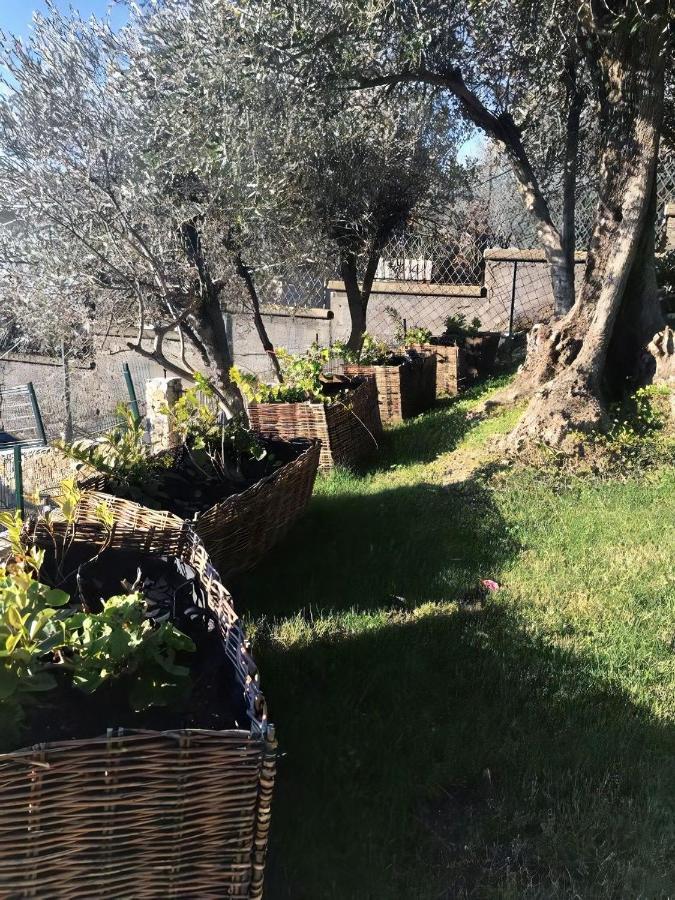 Agriturismo Le Pale 2 Bogliasco Extérieur photo